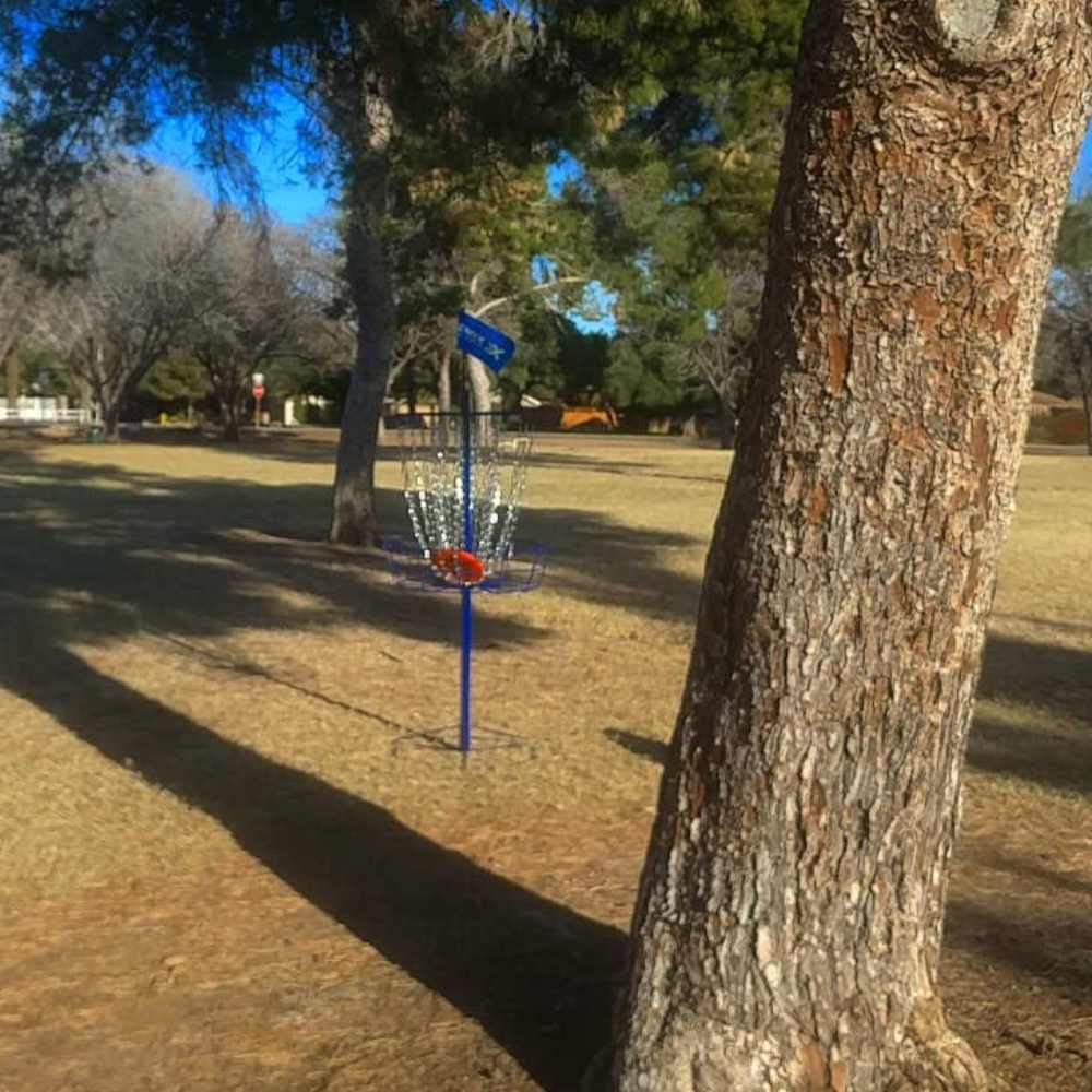 Frisbee Golf Portable Basket